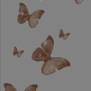 Meet your Posher, Paola